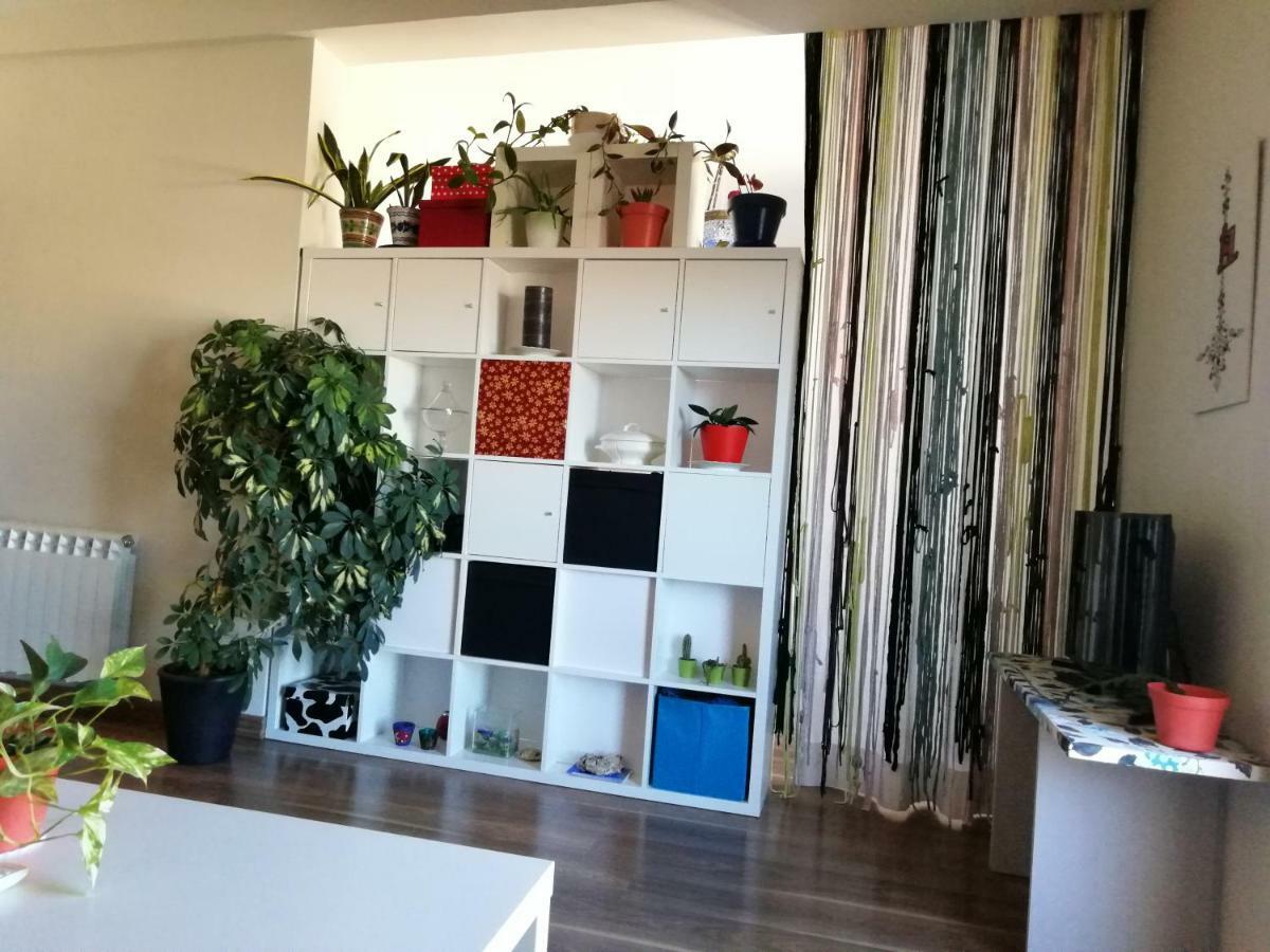 Apartamento Prana Junto Al Alcazar トレド エクステリア 写真